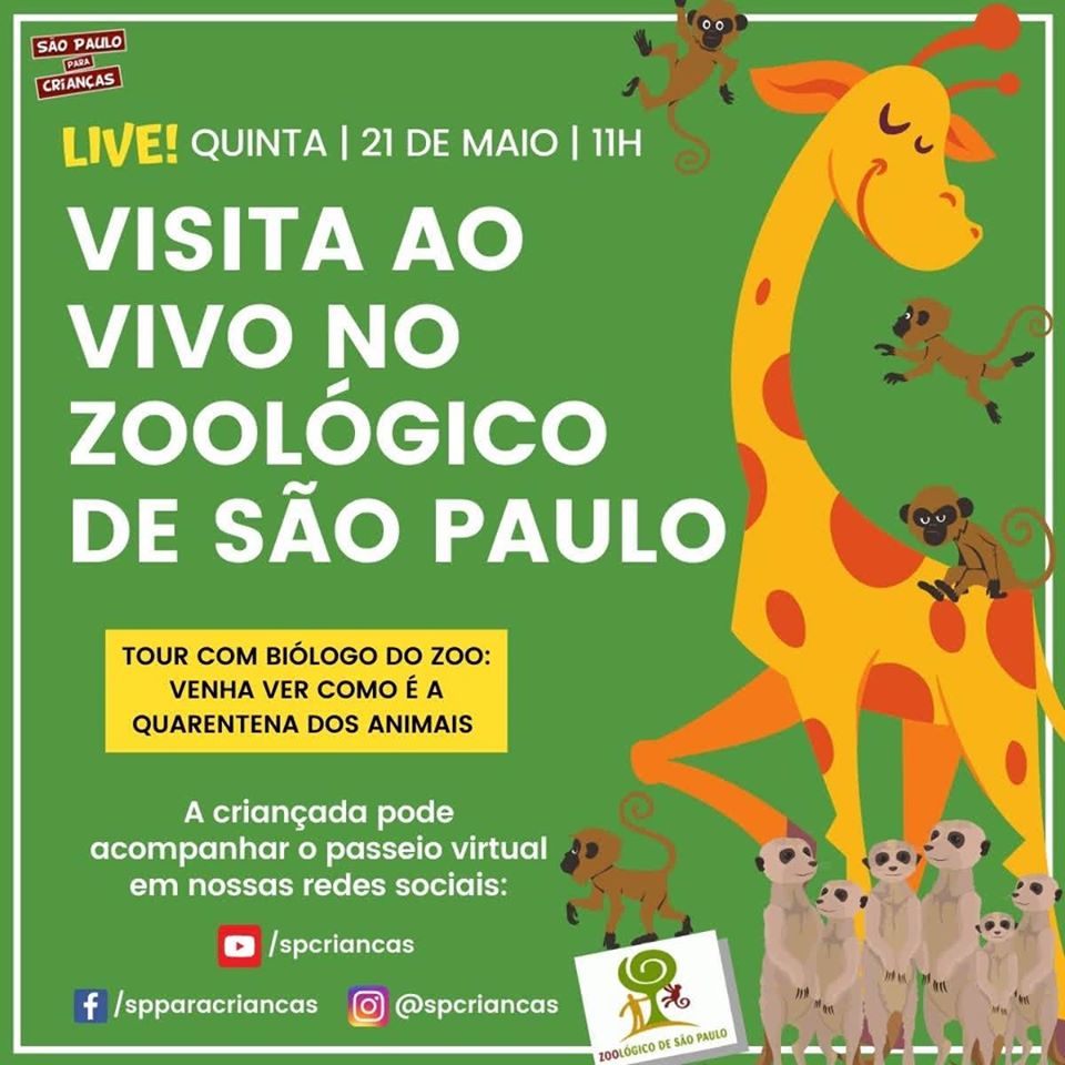 Leve seu filho no zoológico (ambiente virtual)